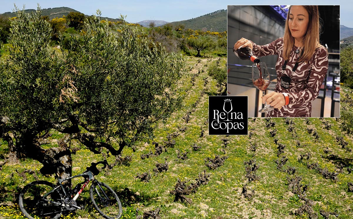Reyna de Copas Experience