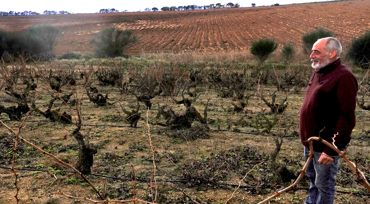 Mariana-Terroir-viticultos