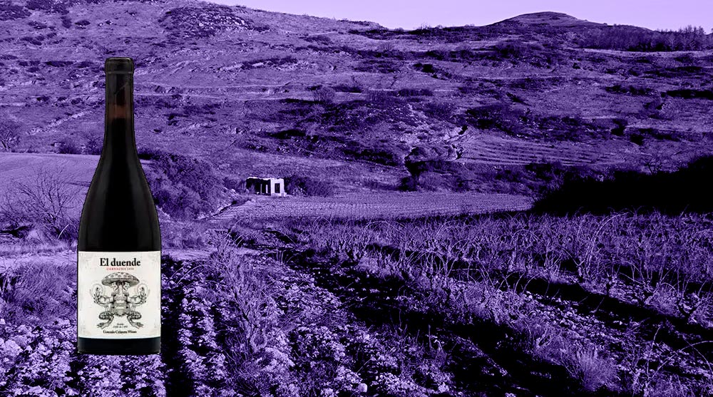 El Duende wine bottle with vineyard background