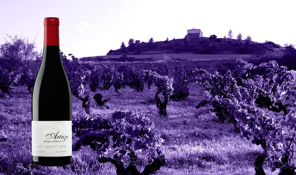 Santa Cruz wine bottle