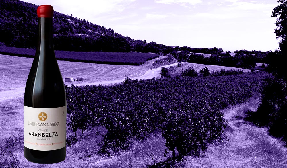 Aranbeltza wine bottle