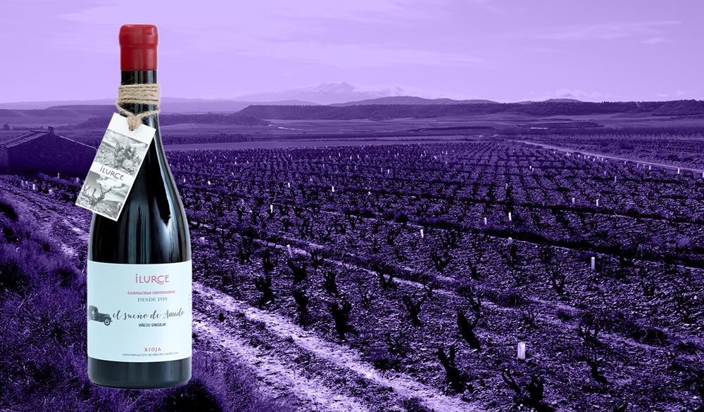 El Sueño de Amado wine bottle