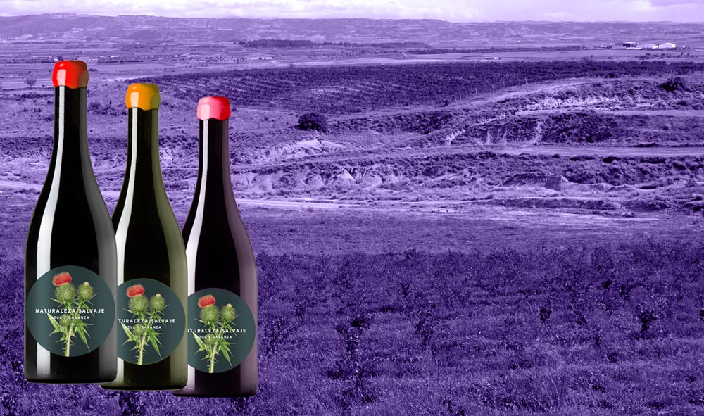 Naturaleza Salvaje wine bottles
