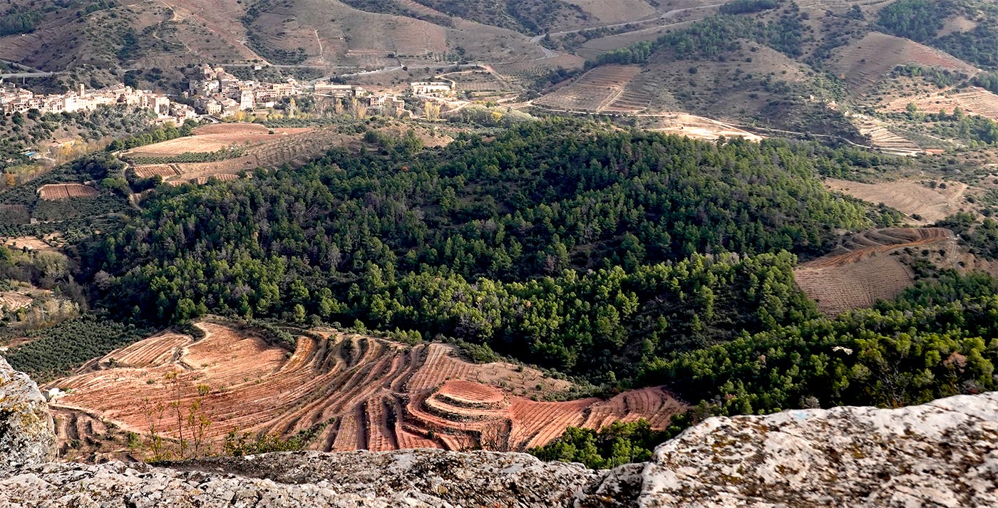 Terroir-Priorat-3