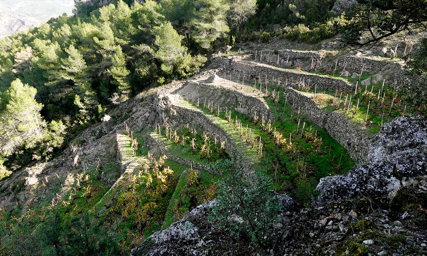 Terroir-Montsant-1