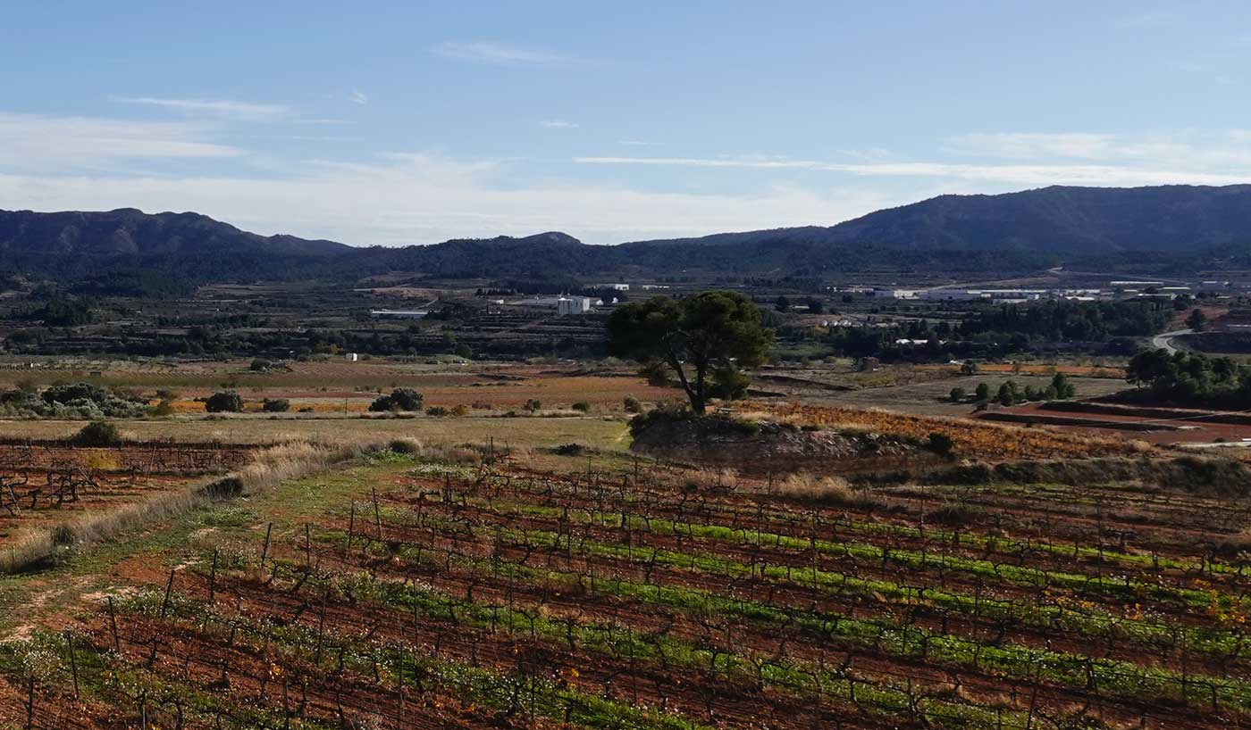 Terroir-El-Mas