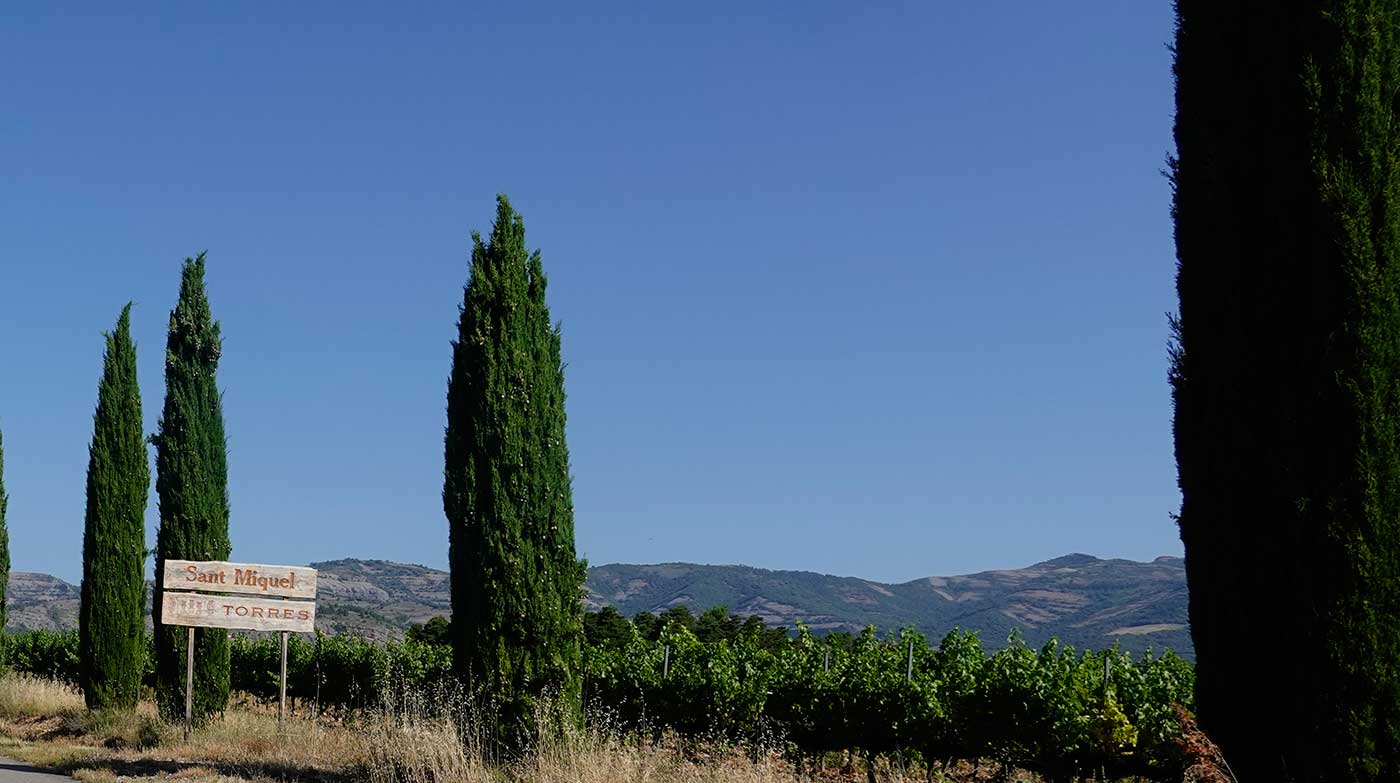 Terroir-Torres