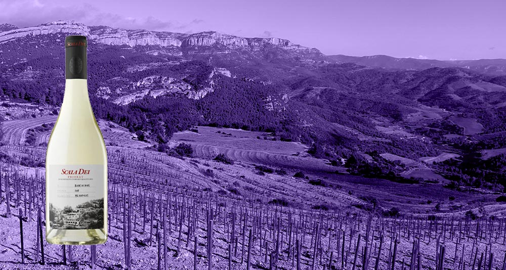 Vino-Blanc-de-Noirs