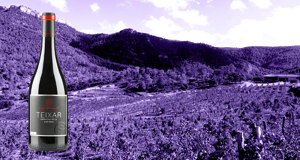 Vino-El-Teixar