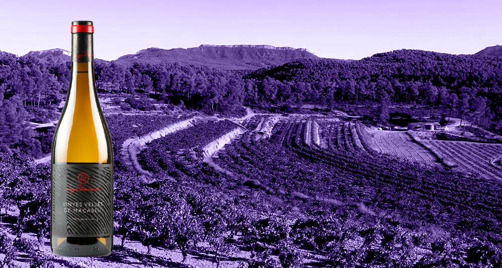 Vino-Rita