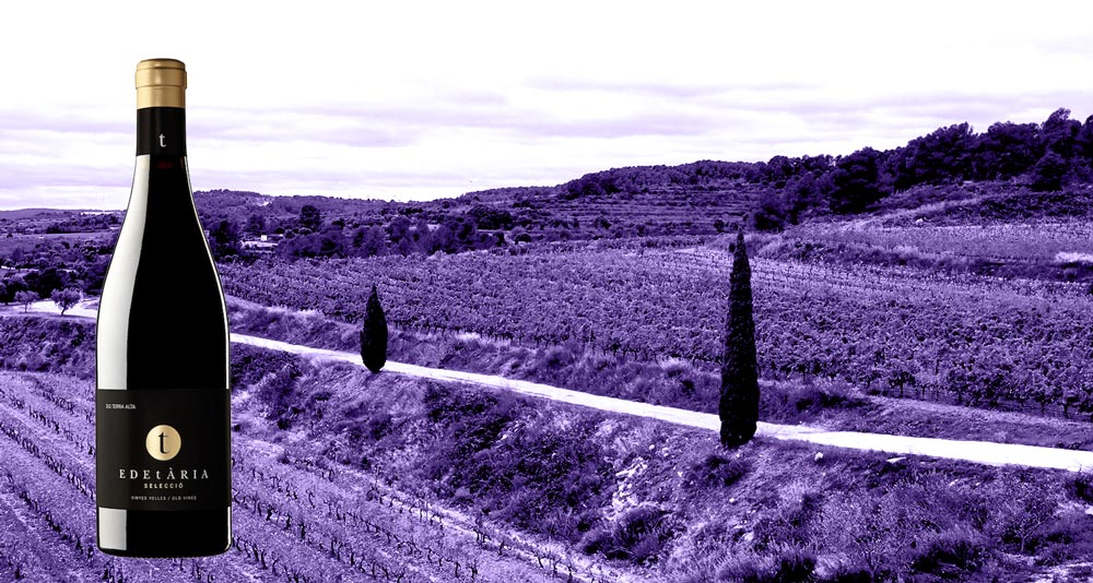 Vino-El-Mas
