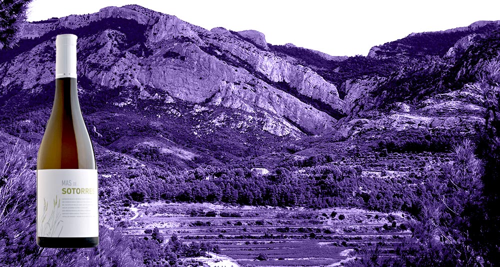Vino-Sotorres