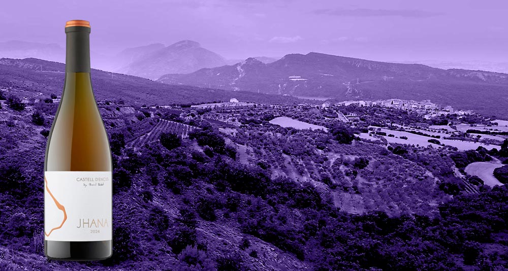 Vino-Jhana
