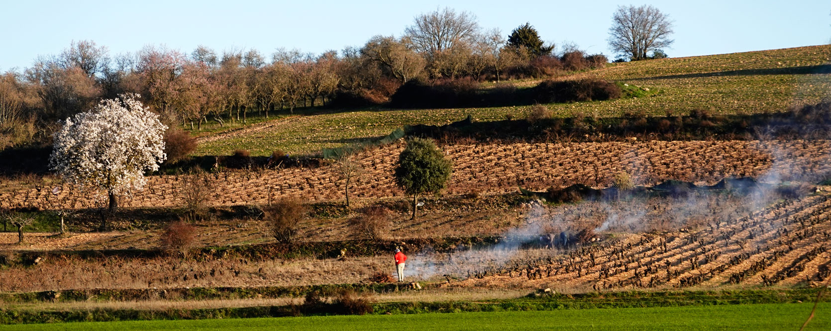 Covarrubias-Tour-Vinos-Sinceros